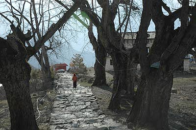 An overview of the area near the main gate of Muktinath.
