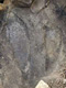 Guru Rinpoche Foot Prints in Stone