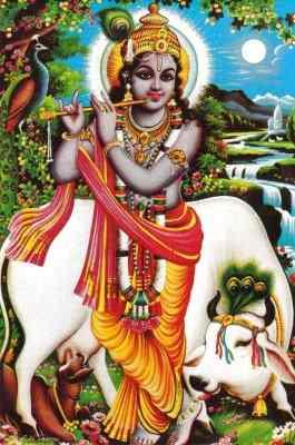 Image of Krishna